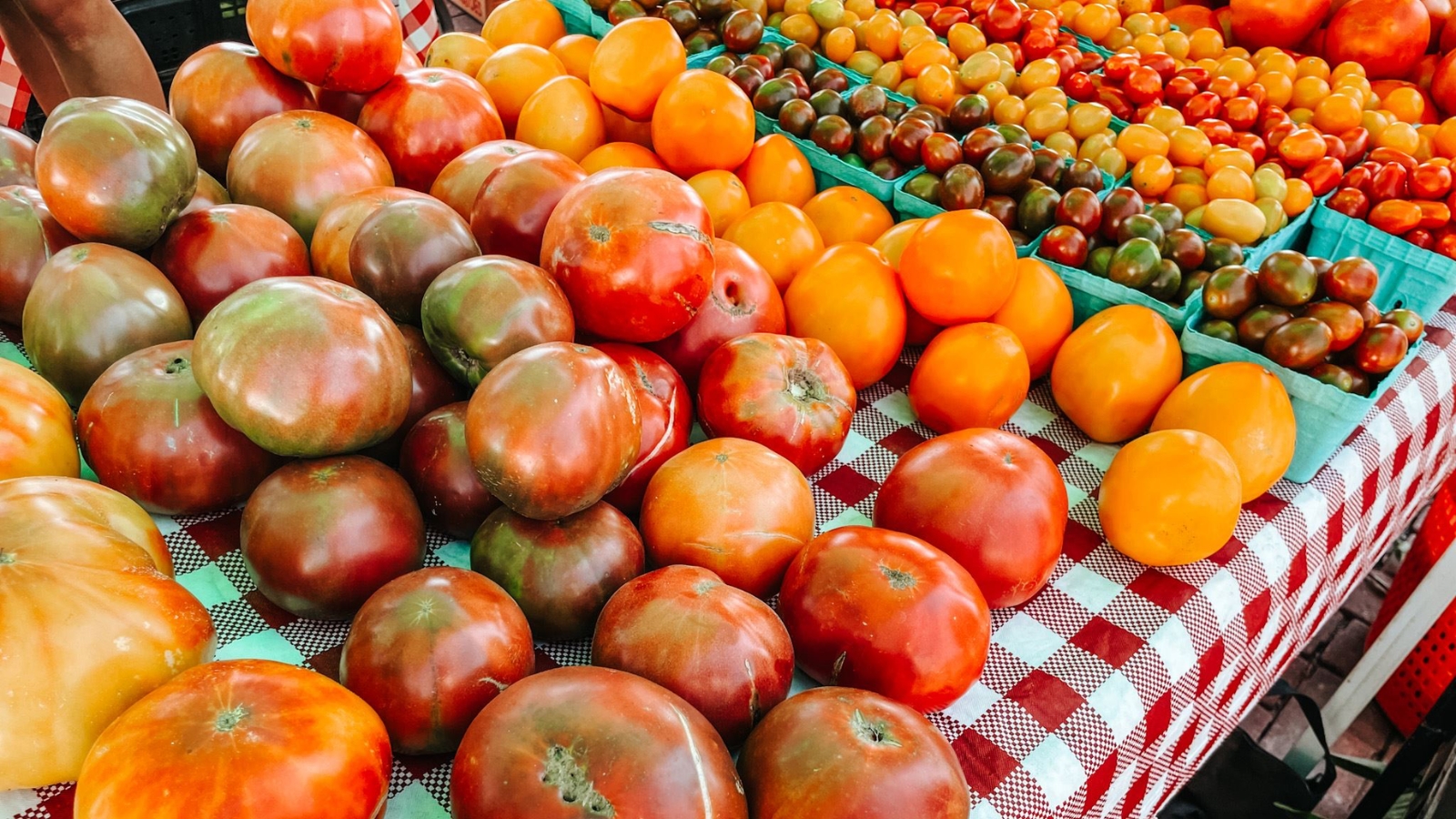 Heap of colorful heirloom tomatoes on a market stall with a red-and-white checkered tablecloth.